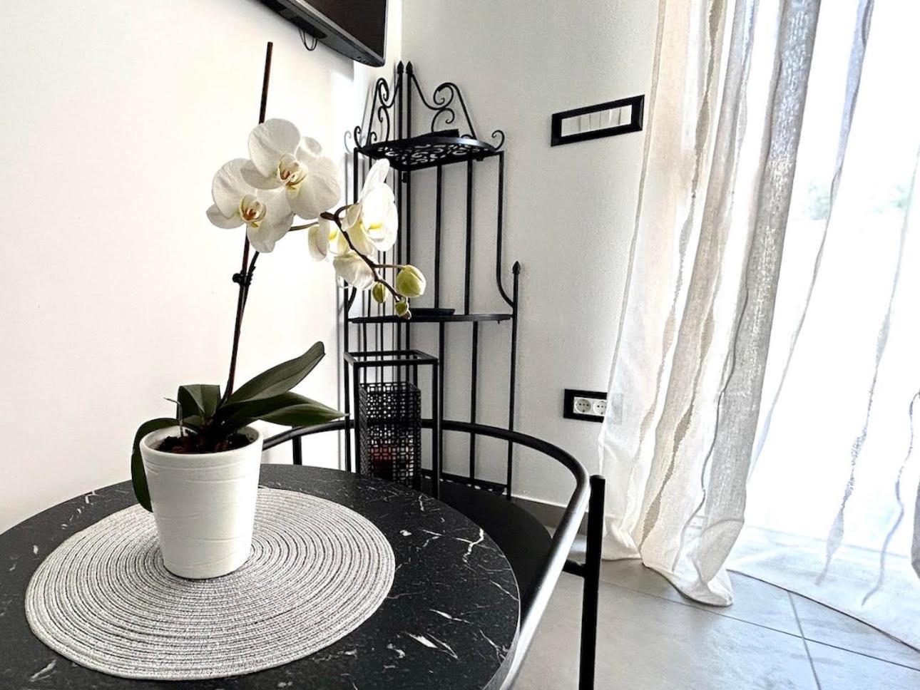 Apartment Diva Zambratija  Extérieur photo